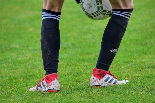 埃迪不仅坐 埃迪不仅坐