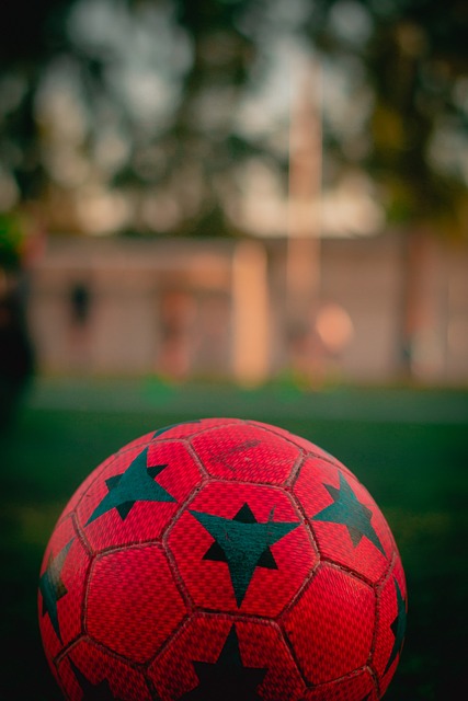 号秀正为球 号秀正为球