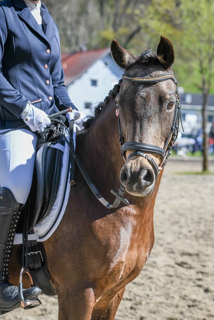 成为一种被 成为一种被