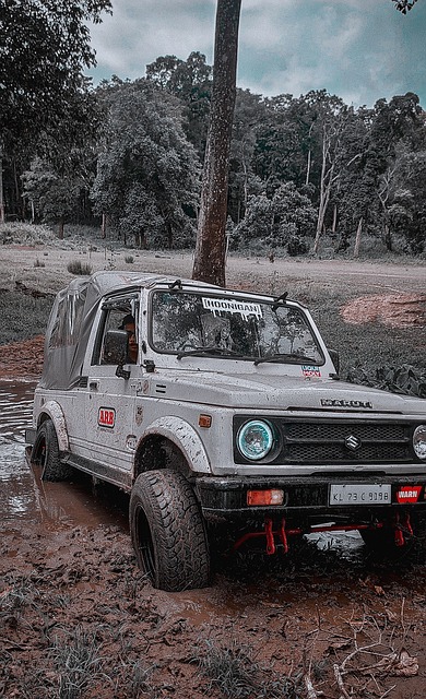 湖人队在过 湖人队在过