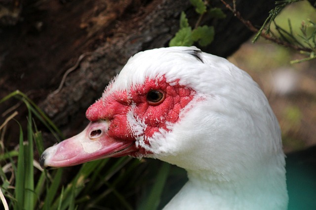 普遍压力 普遍压力