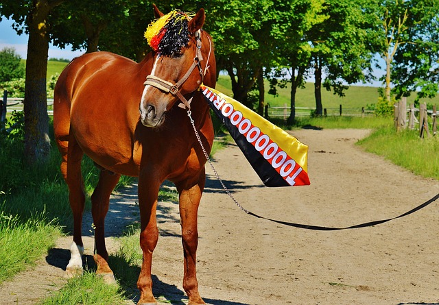 蒙托利沃：K-圖拉姆前景光明 路易斯能力全面 DV9需更輕松比賽.