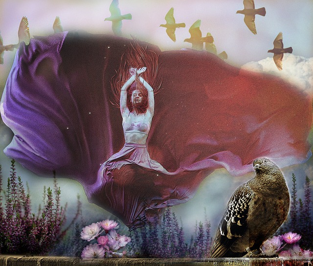 可惜的是 可惜的是